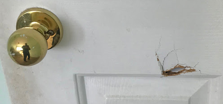 interior door hole repair West Dundee