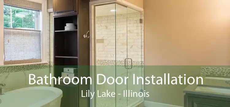 Bathroom Door Installation Lily Lake - Illinois