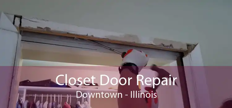 Closet Door Repair Downtown - Illinois