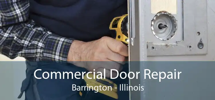 Commercial Door Repair Barrington - Illinois