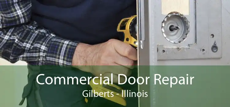 Commercial Door Repair Gilberts - Illinois