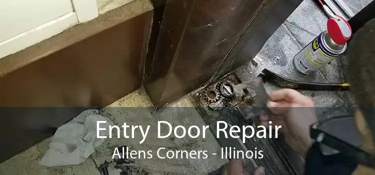 Entry Door Repair Allens Corners - Illinois