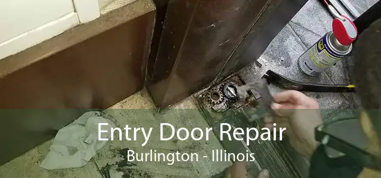 Entry Door Repair Burlington - Illinois