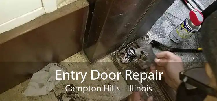 Entry Door Repair Campton Hills - Illinois