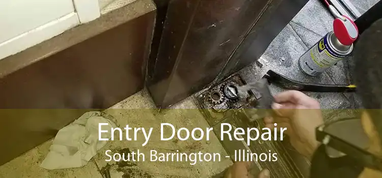 Entry Door Repair South Barrington - Illinois