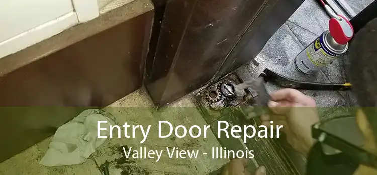 Entry Door Repair Valley View - Illinois