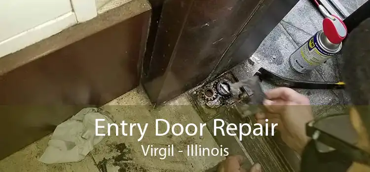 Entry Door Repair Virgil - Illinois