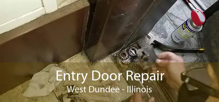 Entry Door Repair West Dundee - Illinois