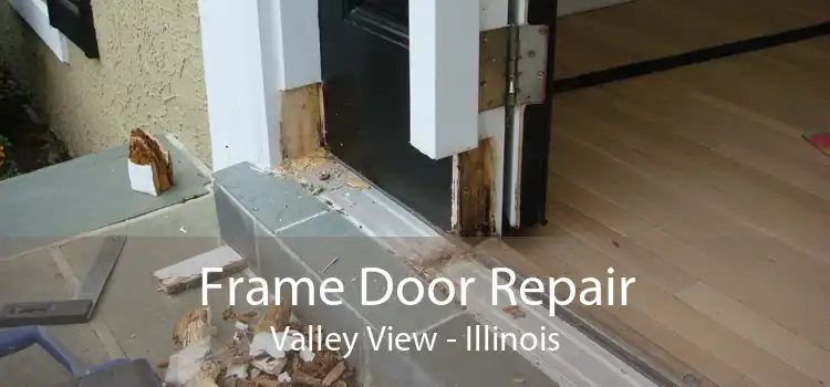 Frame Door Repair Valley View - Illinois