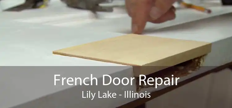 French Door Repair Lily Lake - Illinois