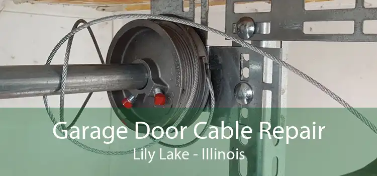 Garage Door Cable Repair Lily Lake - Illinois