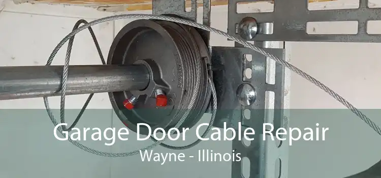 Garage Door Cable Repair Wayne - Illinois