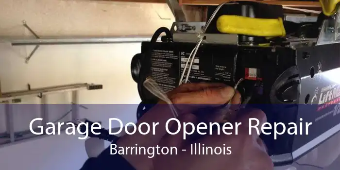 Garage Door Opener Repair Barrington - Illinois