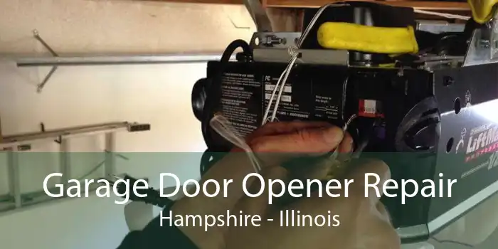 Garage Door Opener Repair Hampshire - Illinois