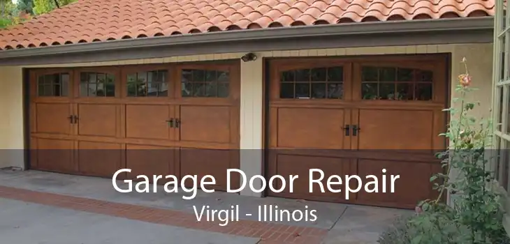 Garage Door Repair Virgil - Illinois