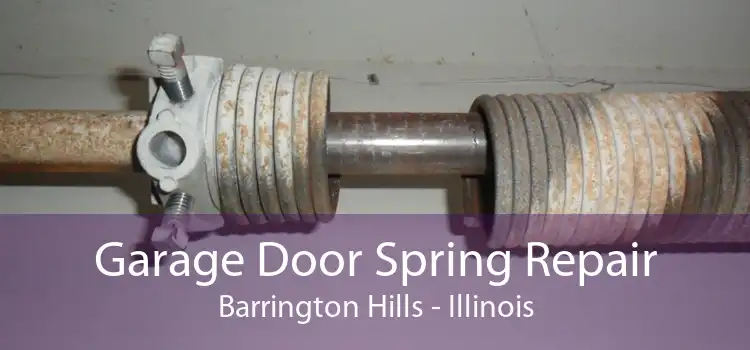 Garage Door Spring Repair Barrington Hills - Illinois