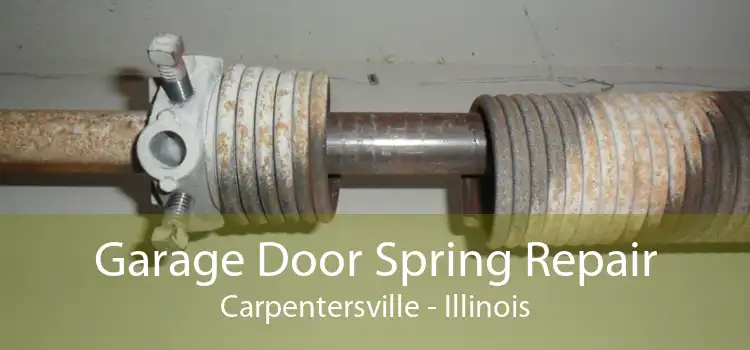 Garage Door Spring Repair Carpentersville - Illinois