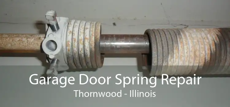 Garage Door Spring Repair Thornwood - Illinois