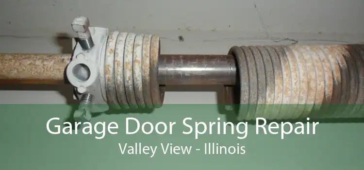 Garage Door Spring Repair Valley View - Illinois