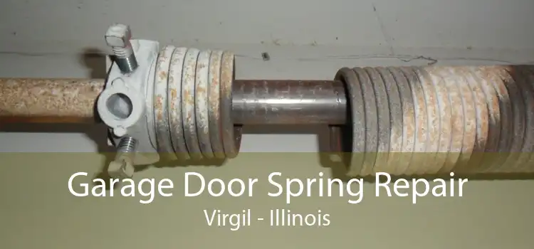 Garage Door Spring Repair Virgil - Illinois