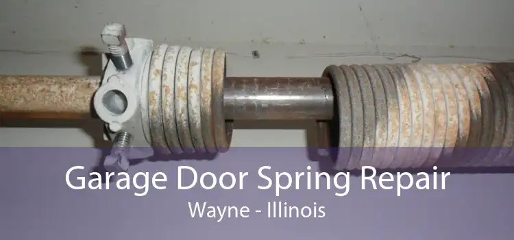 Garage Door Spring Repair Wayne - Illinois
