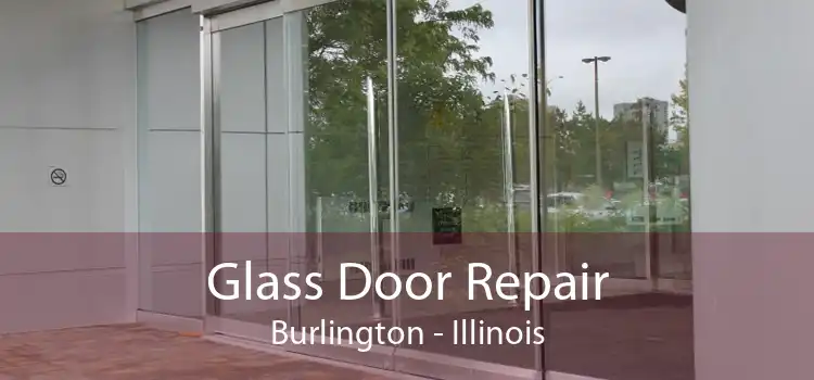 Glass Door Repair Burlington - Illinois