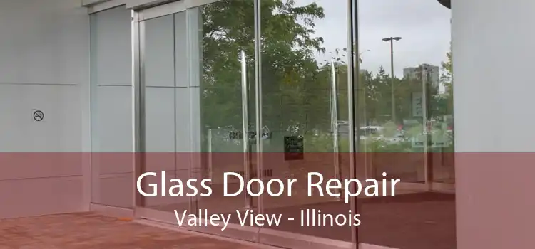 Glass Door Repair Valley View - Illinois