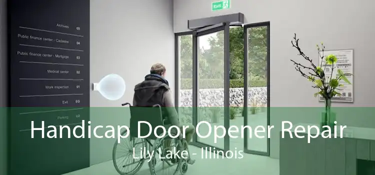 Handicap Door Opener Repair Lily Lake - Illinois