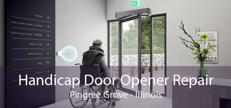 Handicap Door Opener Repair Pingree Grove - Illinois