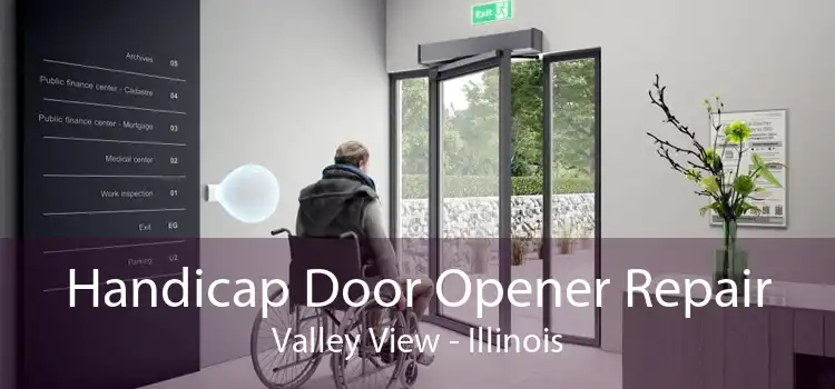 Handicap Door Opener Repair Valley View - Illinois