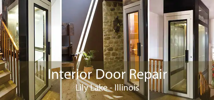 Interior Door Repair Lily Lake - Illinois