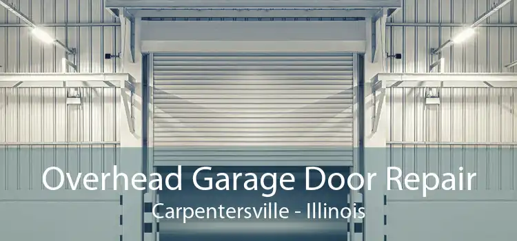 Overhead Garage Door Repair Carpentersville - Illinois