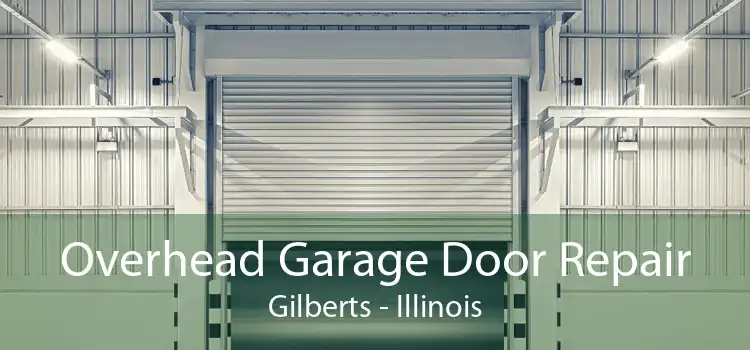 Overhead Garage Door Repair Gilberts - Illinois