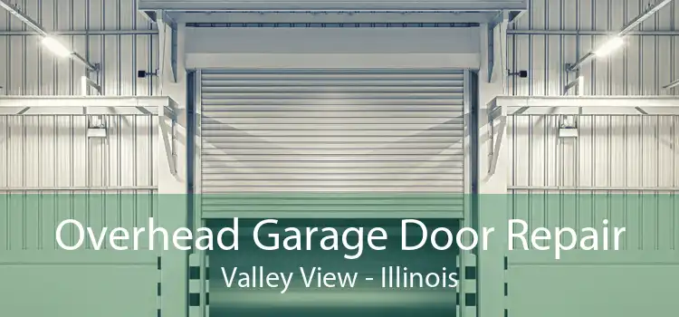 Overhead Garage Door Repair Valley View - Illinois