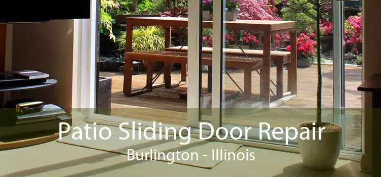 Patio Sliding Door Repair Burlington - Illinois