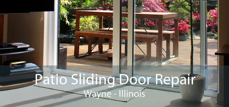 Patio Sliding Door Repair Wayne - Illinois