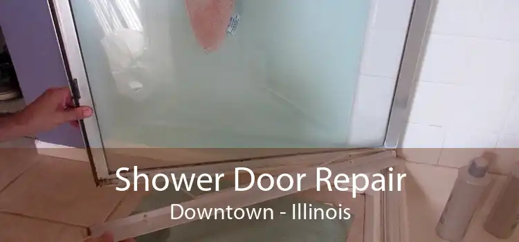 Shower Door Repair Downtown - Illinois