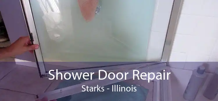 Shower Door Repair Starks - Illinois