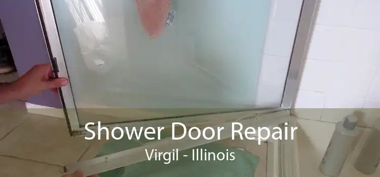 Shower Door Repair Virgil - Illinois