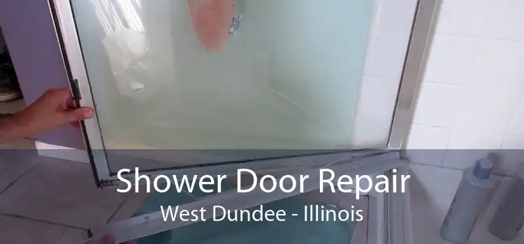 Shower Door Repair West Dundee - Illinois