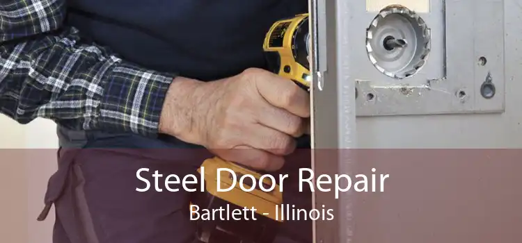 Steel Door Repair Bartlett - Illinois