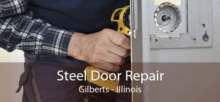 Steel Door Repair Gilberts - Illinois