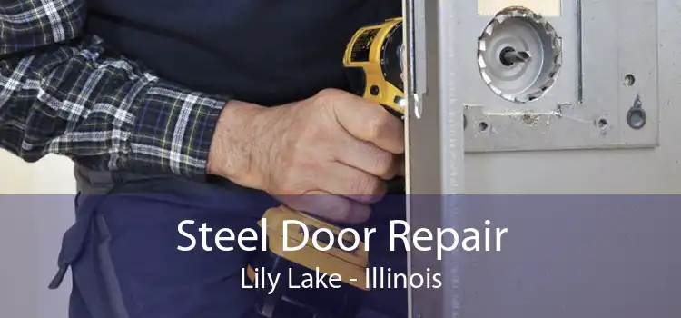 Steel Door Repair Lily Lake - Illinois