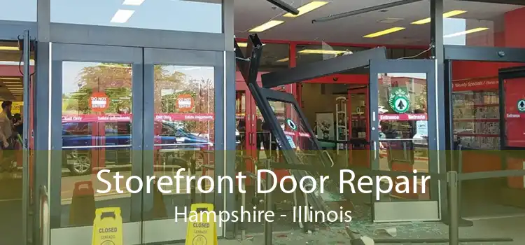 Storefront Door Repair Hampshire - Illinois