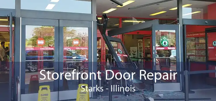 Storefront Door Repair Starks - Illinois