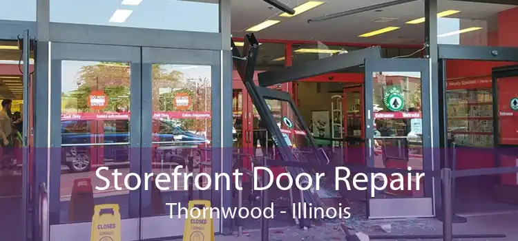 Storefront Door Repair Thornwood - Illinois