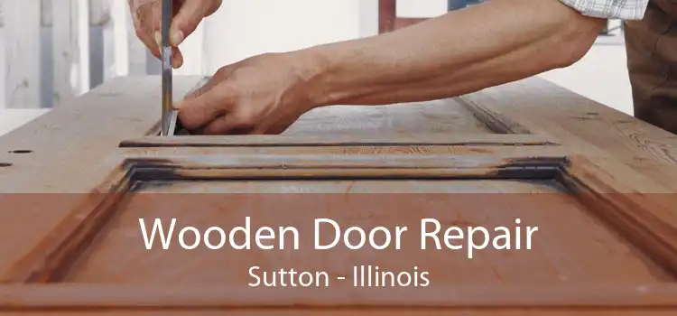 Wooden Door Repair Sutton - Illinois